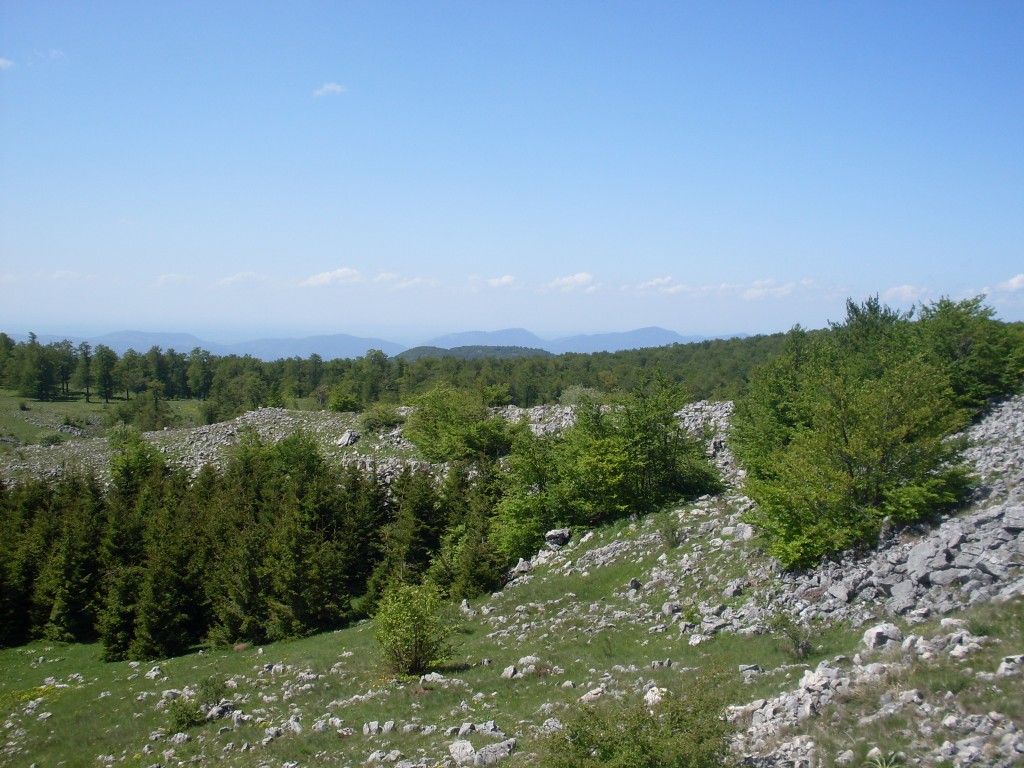 Pogled na Ježevac, Vukan i Sumorovac