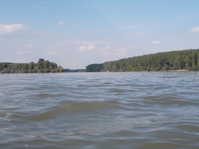 Ušće Tise u Dunav